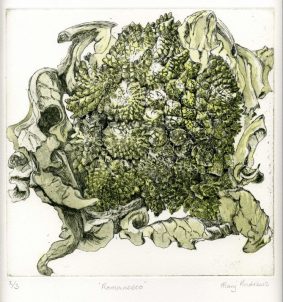 Mary Andrews - Romanesco