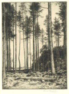 G Percival Gaskel - Wooded Glade