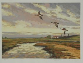 Winston Megoran - Wigeons