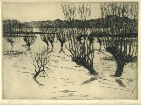 Joseph Frank Pimm - Flooded Meadows