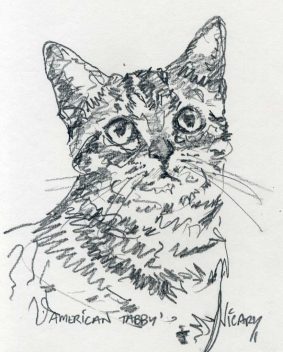 Steve Vicary - Bengal Kitten
