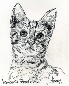 Steve Vicary - Munchkin