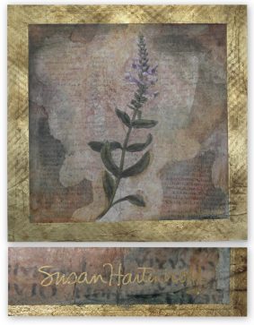 Susan Hartenhoff - Flora XXVII